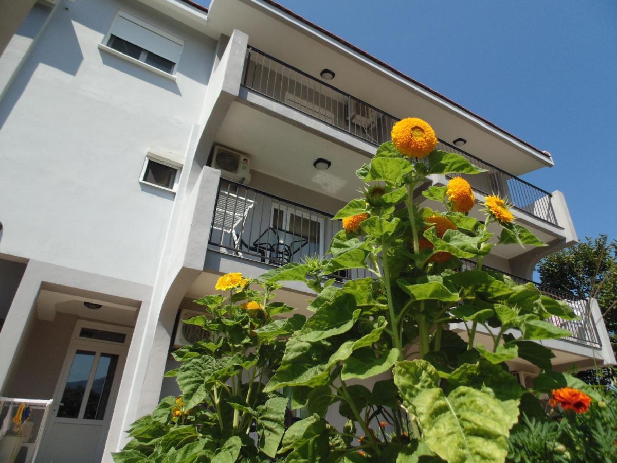 Apartments Macaso Бар Екстер'єр фото