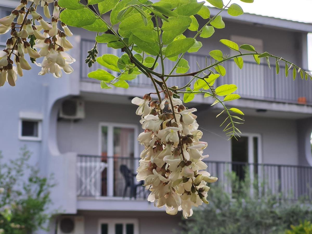 Apartments Macaso Бар Екстер'єр фото