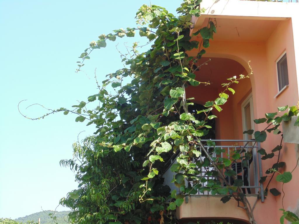 Apartments Macaso Бар Екстер'єр фото